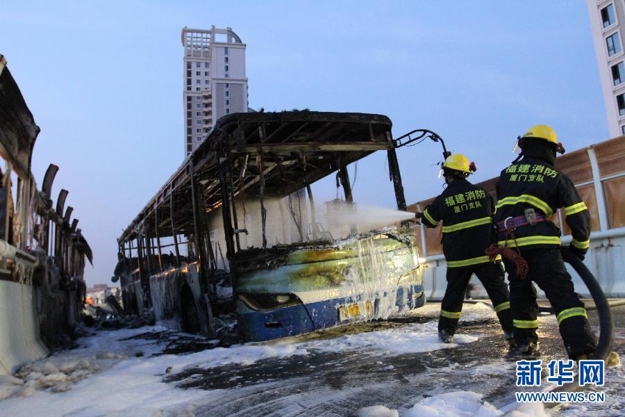 A bus is totally destroyed after a fire in Xiamen city, East China's Fujian province on June 7, 2013. (Photo/Xinhua)