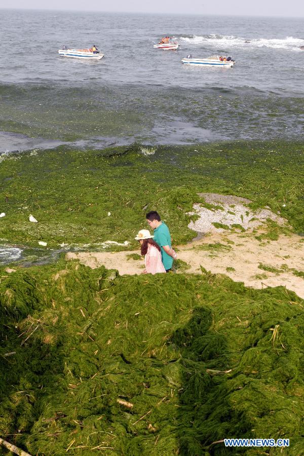 Tourists walk on a beach covered by green algae at Wanpingkou Eco Park in Rizhao, a coastal city of east China's Shandong Province, June 8, 2013. A break-out of algae bloom, or "green tide," has spread in waters off the coastline of Shandong lately. (Xinhua/Li Xiaolong)
