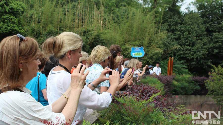 Guests are taking photo of Pandas.(CNTV)