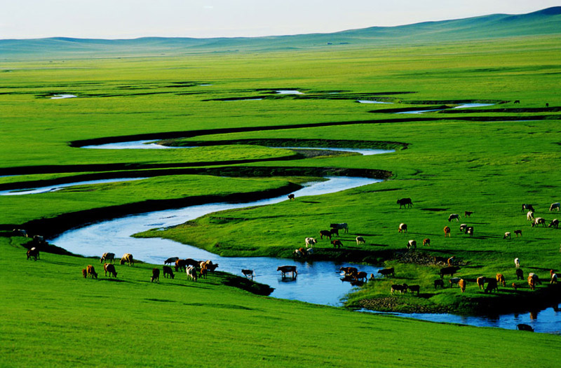 Xilingol Grassland, Inner Mongolia (file photo)