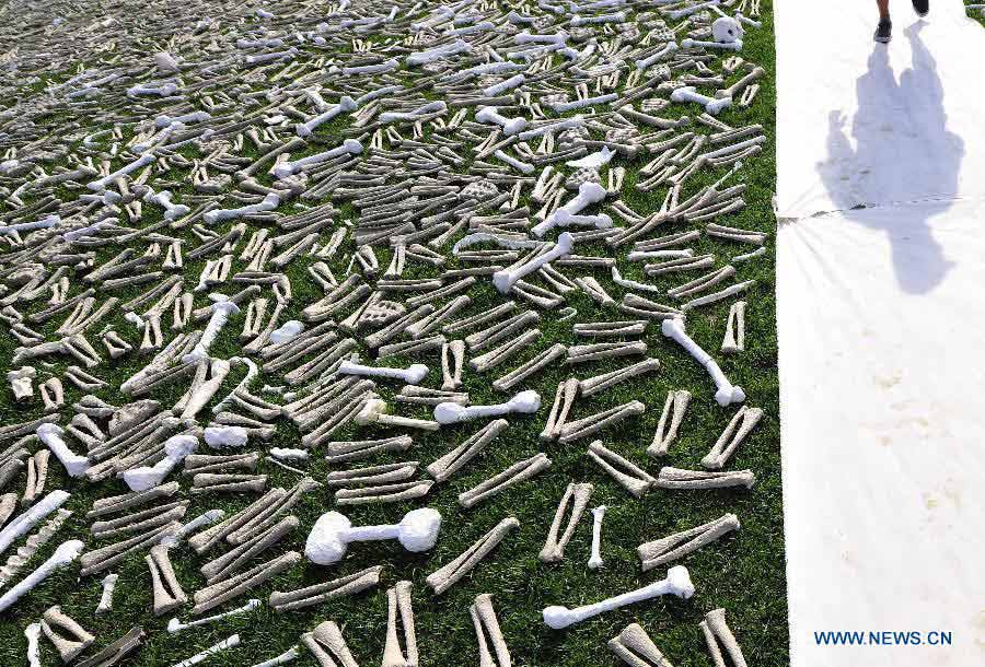 Visitors walk among bones during a demonstration named "One Million Bones" on the National Mall in Washington D.C., capital of the United States, June 9, 2013. One million handmade human bones, created by students, artists, and activists were laid during the weekend on the National Mall as a symbolic mass grave and a visible petition to end genocide and mass atrocities. (Xinhua/Zhang Jun) 