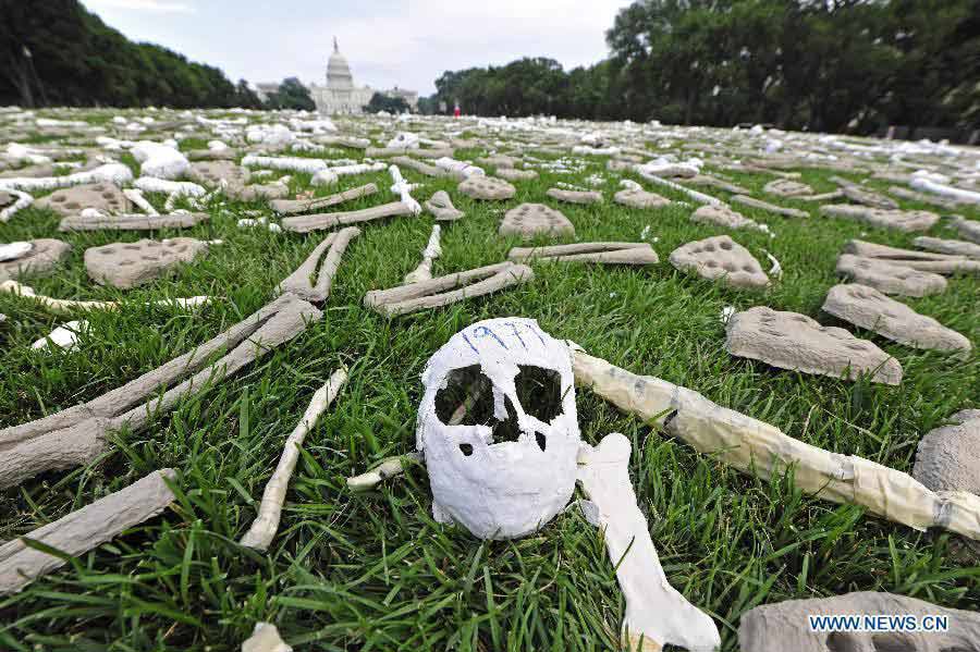 Photo taken on June 9, 2013 shows bones displayed during a demonstration named "One Million Bones" on the National Mall in Washington D.C., capital of the United States. One million handmade human bones, created by students, artists, and activists were laid during the weekend on the National Mall as a symbolic mass grave and a visible petition to end genocide and mass atrocities. (Xinhua/Zhang Jun)