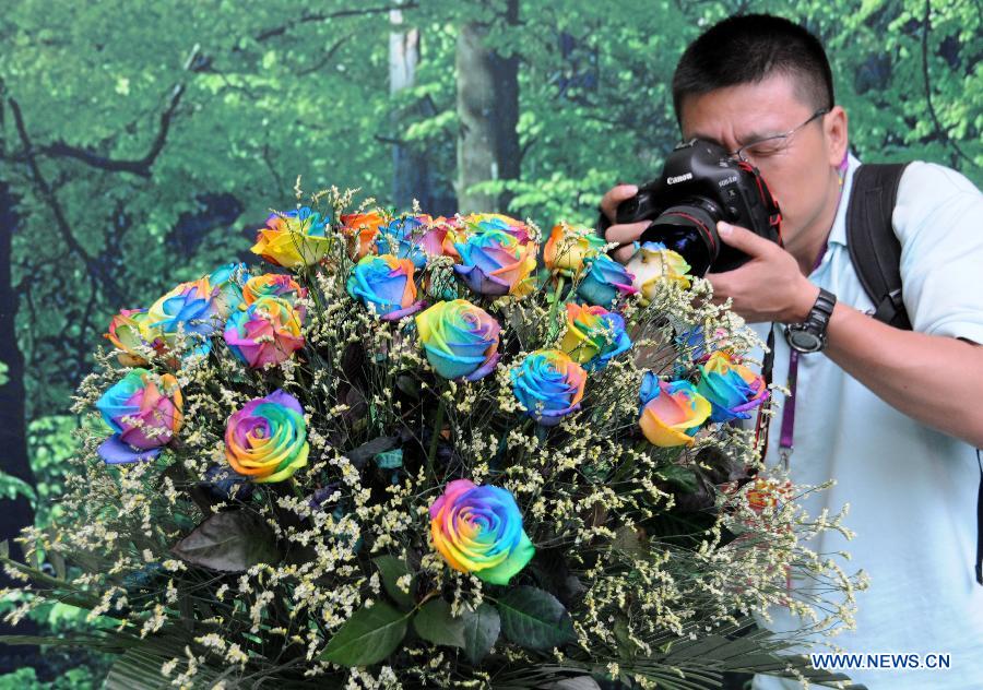 A visitor takes photos of a bunch of colourful roses on display in the main pavilion of the 9th China (Beijing) International Garden Expo in Beijing, capital of China, June 10, 2013. Cultivated by artificial methods, those unusual roses attracted many visitors. (Xinhua/Wang Zhen)