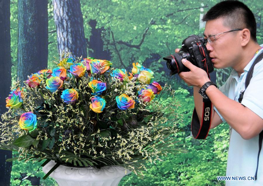 A visitor takes photos of a bunch of colourful roses on display in the main pavilion of the 9th China (Beijing) International Garden Expo in Beijing, capital of China, June 10, 2013. Cultivated by artificial methods, those unusual roses attracted many visitors. (Xinhua/Wang Zhen) 