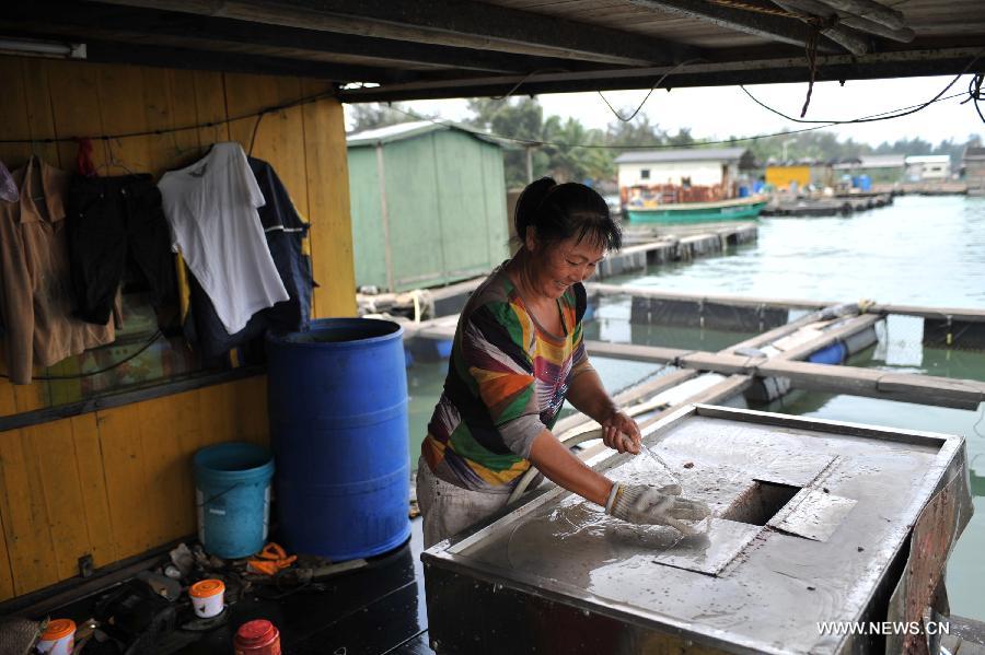 A woman cleans a fish cutter at the Qinglan port in Wenchang City, south China's Hainan Province, June 11, 2013. (Xinhua/Shi Manke) 