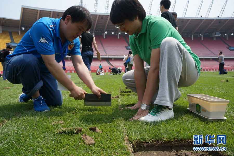 Fans select their own pieces at Workers’ Stadium in Beijing, June 12, 2013.(Photo/Xinhua)