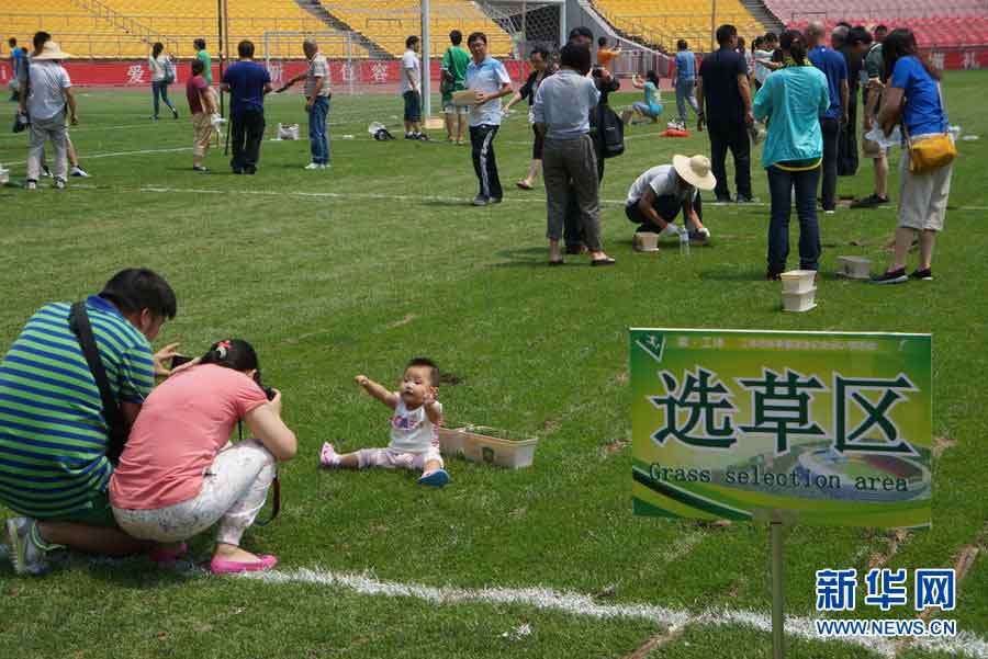 Fans select their own pieces at Workers’ Stadium in Beijing, June 12, 2013. (Photo/Xinhua)