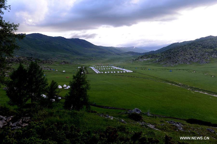 Photo taken on June 11, 2013 shows the scenery of the Argonne Ghet grassland in Burqin County, northwest China's Xinjiang Uygur Autonomous Region, June 11, 2013. (Xinhua/Sadat)