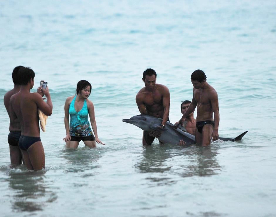 Photos showing the men lifting and posing with the dolphin.(Photo/ Guangming Online)