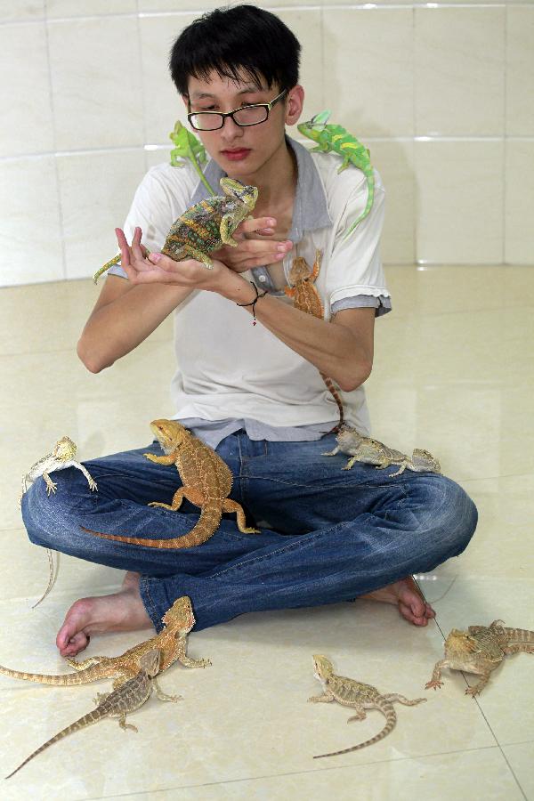 Chen Deqiang is surrounded by his anole pets at home in Liuzhou, south China's Guangxi Zhuang Autonomous Region, June 16, 2013. Chen had his first pet anole more than one year ago, and now the number has reached 36. As the amount of anoles keeps on growing, he even built a special "house" for them. (Xinhua/Zhang Cunli)