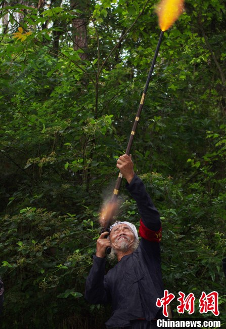 A basha man shoots the gun. In the deep mountains of southwest China's Guizhou Province, lives a unique and ancient tribe of the Miao ethnic group, named "Basha."  (Photo by Wangchao/ Chinanews.com)