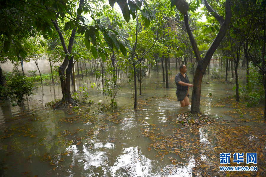 Overnight rainstorms damage local villagers' nursery in Chengdu, Southwest China's Sichuan province on June 20, 2013. 