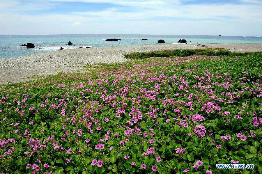 Photo taken on June 19, 2013 shows the scenery on the Lanyu island, southeast China's Taiwan. The Lanyu island is one of the islands of Taiwan, which has an area of 45 square kilometers. (Xinhua/Tao Ming)