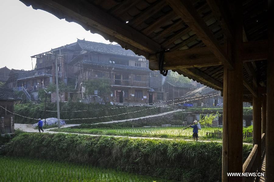 People walk on a pathway in Dimen Dong minority village in Liping County of southwest China's Guizhou Province, June 21, 2013. Dimen is a Dong minority village with about 2,500 villagers. It is protected properly and all the villagers could enjoy their peaceful and quiet rural life as they did in the past over 700 years. (Xinhua/Ou Dongqu) 