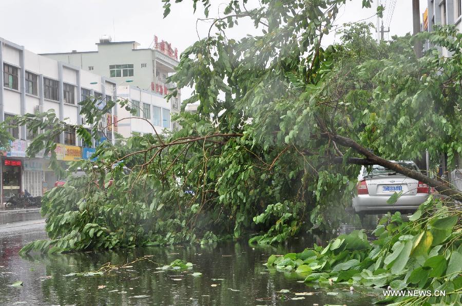 A tree is blown down by strong wind in Wanning City, south China's Hainan Province, June 22, 2013. Tropical storm "Bebinca" made landfall in Tanmen Township in Hainan's city of Qionghai at 11:10 a.m., the local meteorological department said. Train and shipping services across the Qiongzhou Strait have been suspended due to the arrival of Bebinca. (Xinhua/Wang Junfeng) 