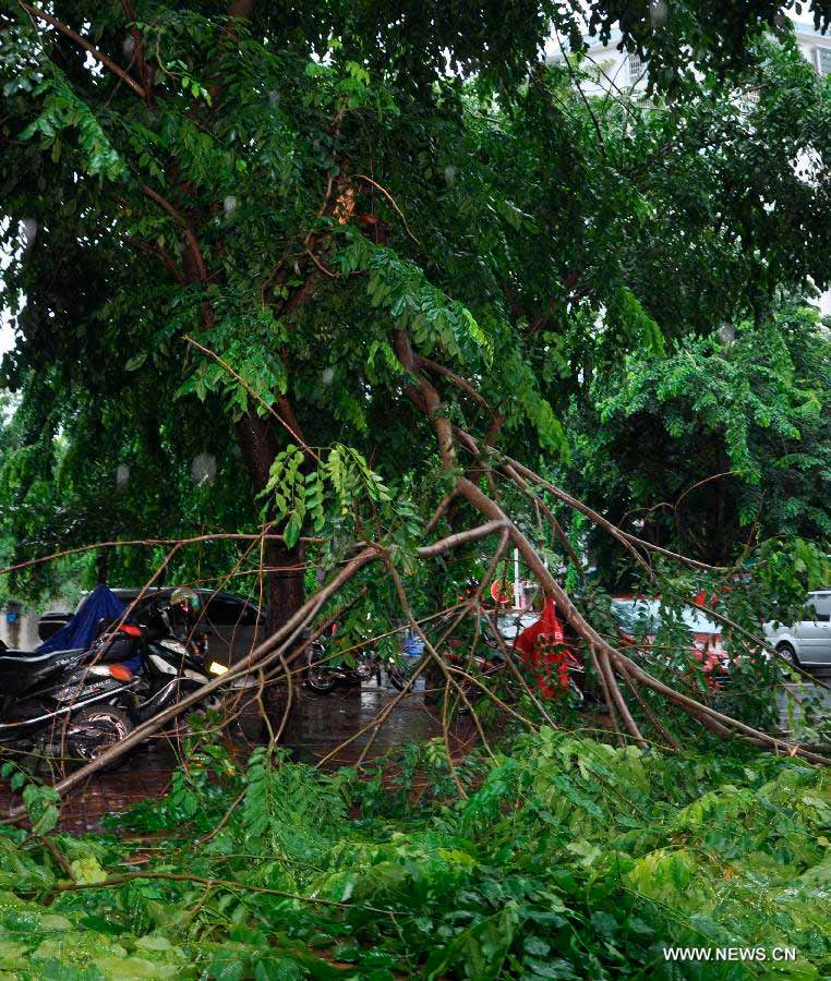Branches of a tree are broken by strong wind in Sanya City, south China's Hainan Province, June 22, 2013. Tropical storm "Bebinca" made landfall in Tanmen Township in Hainan's city of Qionghai at 11:10 a.m., the local meteorological department said. Train and shipping services across the Qiongzhou Strait have been suspended due to the arrival of Bebinca. (Xinhua/Wang Junfeng) 