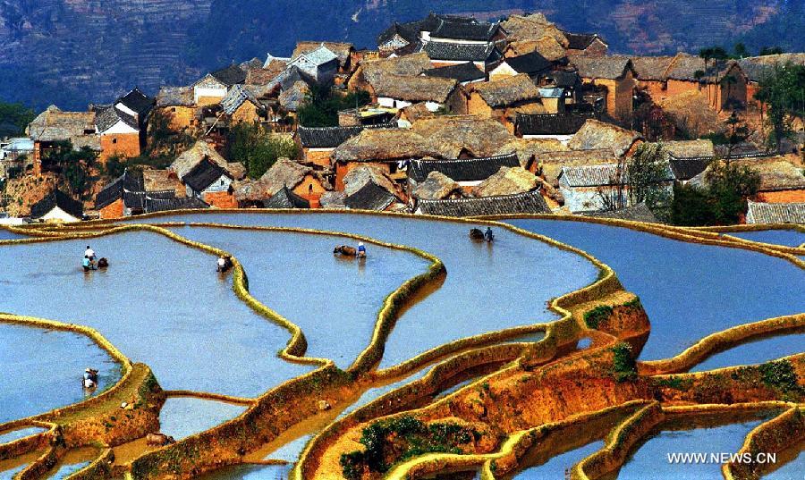 This undated photo shows the Hani people working in the rice terraces in Yuanyang County of Honghe Prefecture, southwest China's Yunnan Province. The UNESCO's World Heritage Committee inscribed China's cultural landscape of Honghe Hani Rice Terraces onto the prestigious World Heritage List on Saturday, bringing the total number of World Heritage Sites in China to 45. (Xinhua)
