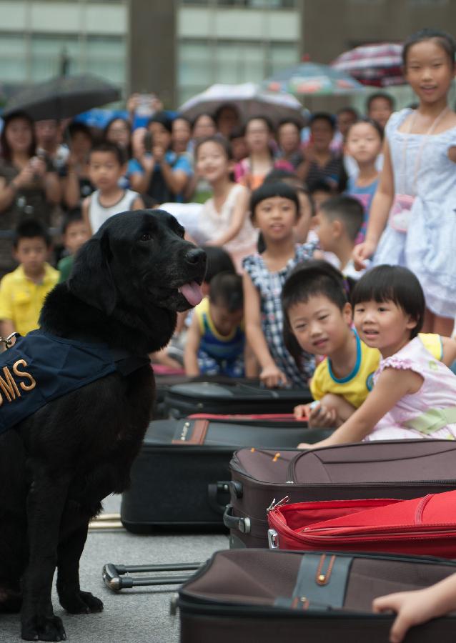 Children watch a detection dog performing during an "open day" of the Customs in Guangzhou, capital of south China's Guangdong Province, June 23, 2013. An "open day" activity was held here for the residents to know about the works of drug-sniffing dogs. (Xinhua/Mao Siqian)  