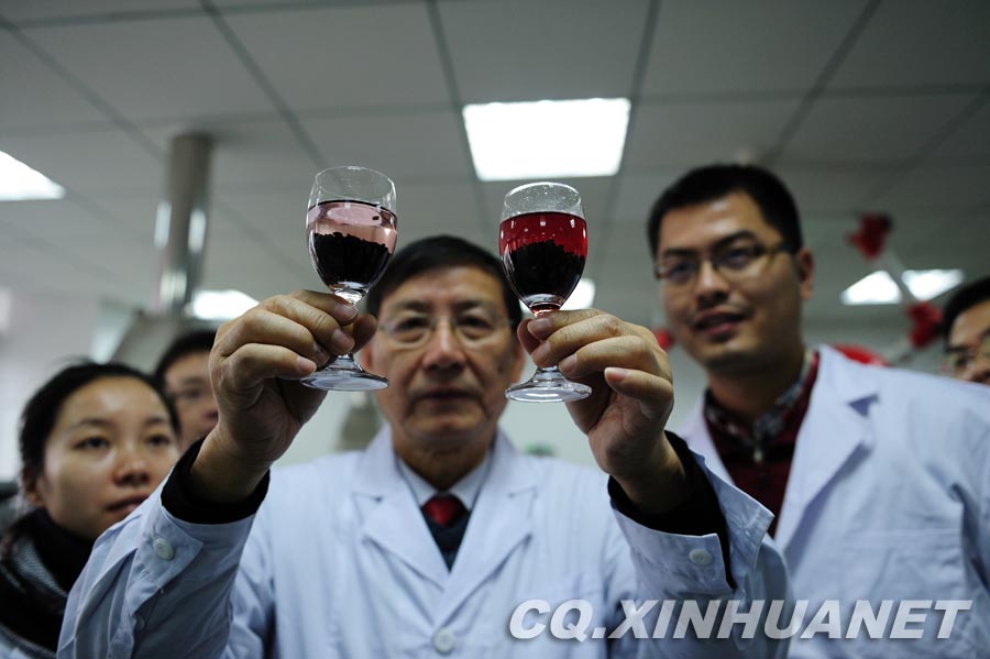 Lyu Changfu uses white vinegar to test black rice. White vinegar can turn real black rice from black to red. If the color doesn’t change, it means the rice is dyed into black. (Xinhua/ Huang Junhui) 