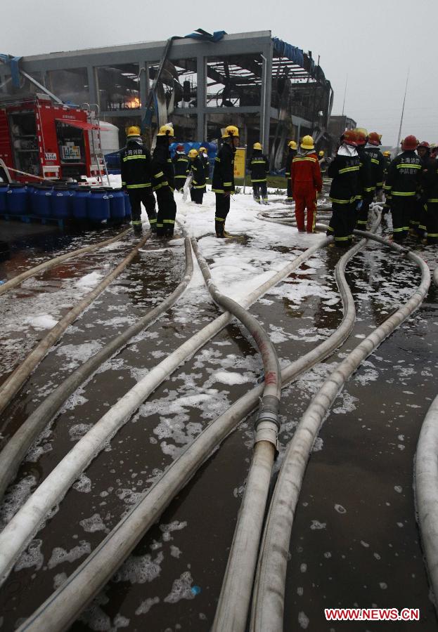 Fire fighters extinguish chemical plant fire in Shanghai (Xinhua/Pei Xin) 