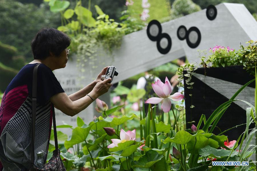 A visitor takes photo of lotus flowers during an art festival along the West Lake in Hangzhou, capital of east China's Zhejiang Province, June 24, 2013. The festival will last till July 31. (Xinhua/Li Zhong) 