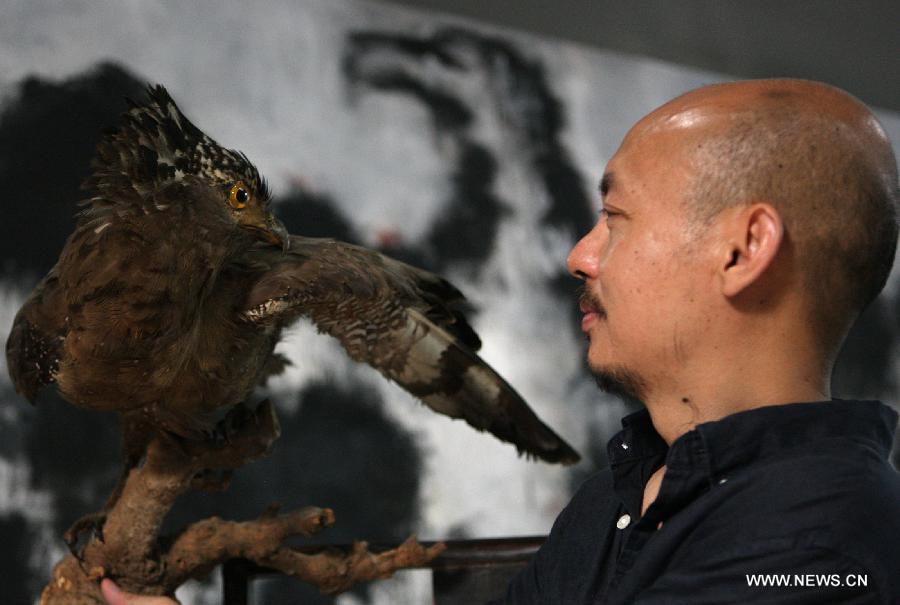 Zhang Fangbai, a 51-year-old painter, looks at a sample of eagle at his studio in Beijing, capital of China, June 19, 2013. Zhang has specialized in painting eagles for a dozen of years. (Xinhua/Wu Xiaochu)