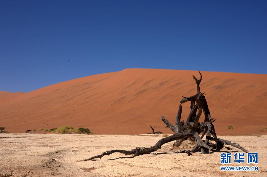 Namib Sand Sea, Namibia. (Photo: xinhuanet.com)