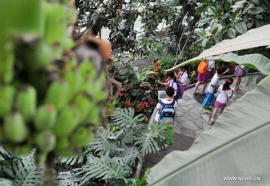 Students from Huiwen No.1 primary school visit a greenhouse in the botanic garden in Beijing, capital of China, June 25, 2013. Students from a biology group of the Huiwen No.1 primary school visited Beijing Botanic Garden Tuesday to enrich their understanding of various plants. (Xinhua/Chen Yehua)