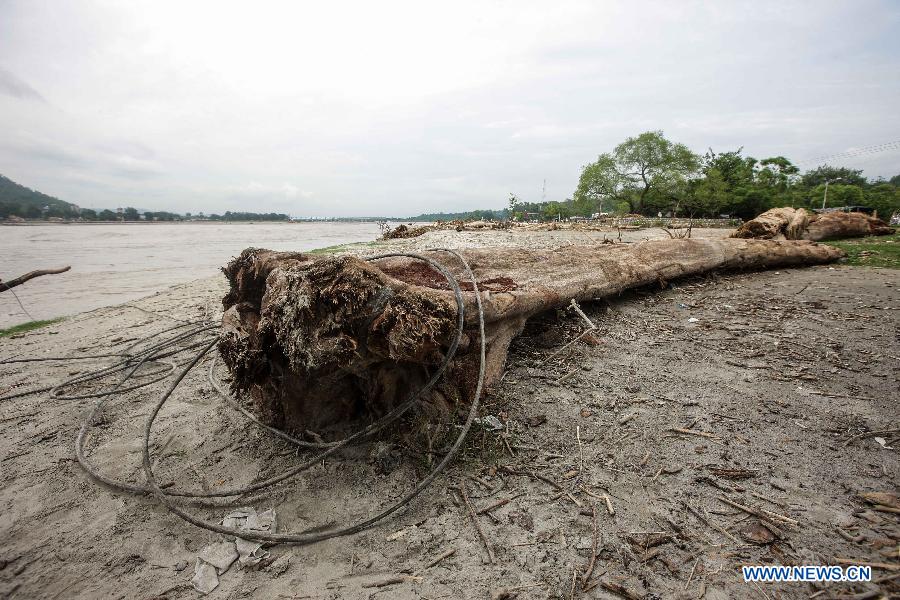 A tree lies on the bank of the Ganges River in Haridwar, northern Indian state of Uttarakhand, June 25, 2013. The heaviest monsoon rains in the state for the past 60 years, which trigered deadly floods in northern India, has claimed up to 807 lives, according to Indian Authorities on Tuesday. (Xinhua/Zheng Huansong) 