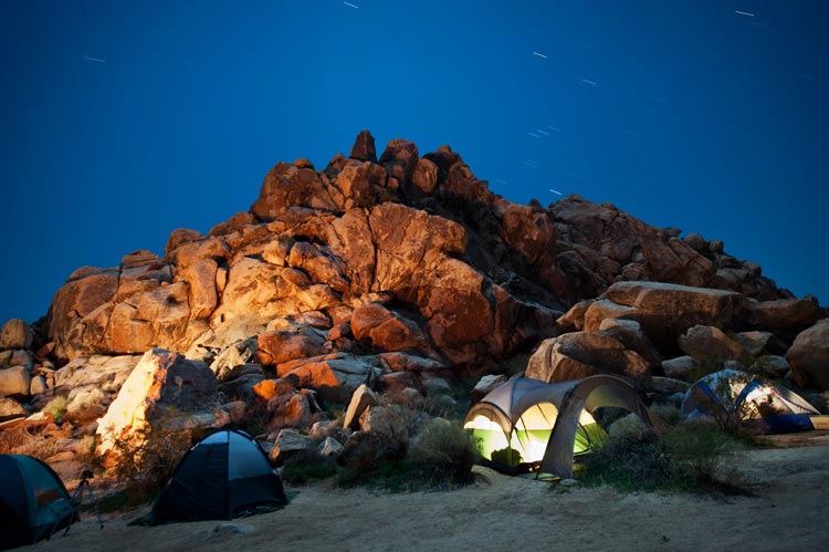 Joshua Tree National Park, U.S.  (huanqiu.com)