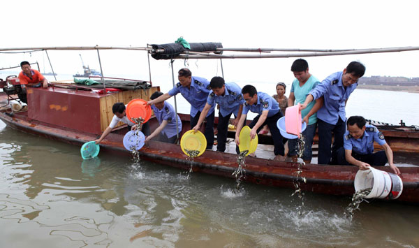 Fisheries administration departments and local residents release young fish into Poyang Lake, Duchang county, East China's Jiangxi province, June 26, 2013. [Photo/Xinhua]