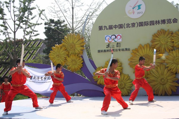 Capital Physical Education Institute students, Chrysanthemum Square, Beijing Garden Expo, on June 23. (chinadaily.com.cn)