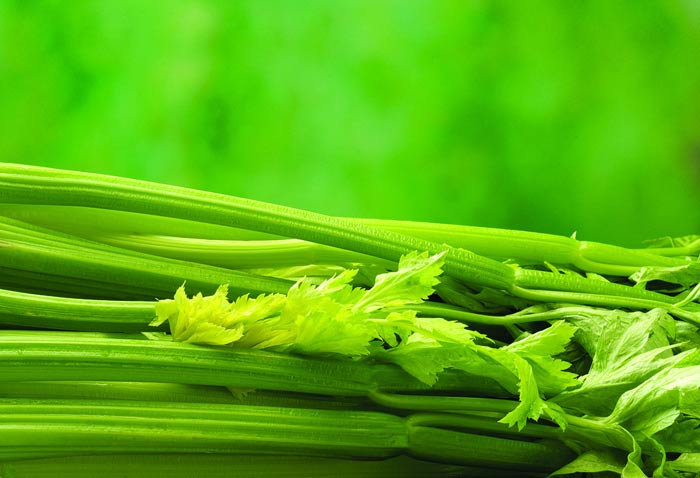 celery(Source: news.xinhuanet.com)