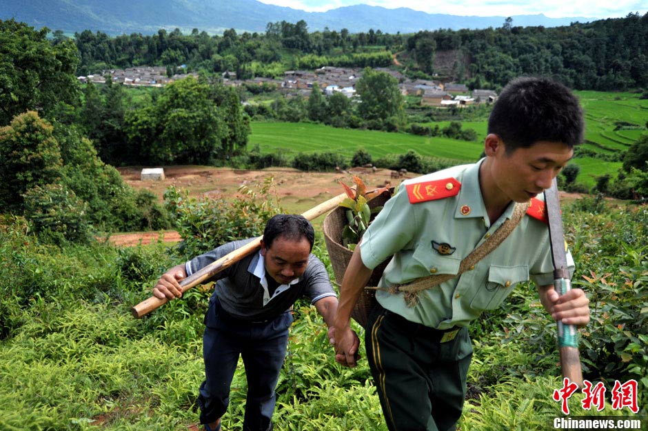 Li Yundong and cadres of the village pick herbs in the mountain. (CNS/He Yaxin)