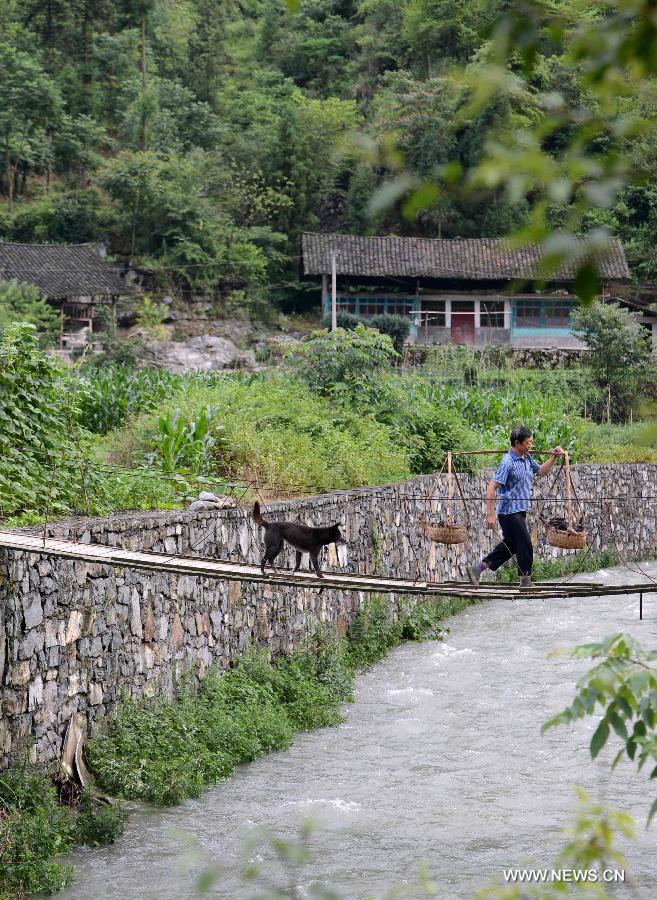 A villager goes to work at Jinlongba Village in Enshi City, central China's Hubei Province, June 27, 2013. The Jinlongba Village was listed among the 646 Chinese Traditional Villages in 2012 and villagers here followed the traditional way of living. (Xinhua/Yang Shunpi)  