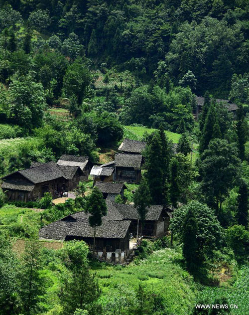 Photo taken on June 27, 2013 shows the stilted buildings at Jinlongba Village in Enshi City, central China's Hubei Province. The Jinlongba Village was listed among the 646 Chinese Traditional Villages in 2012 and villagers here followed the traditional way of living. (Xinhua/Yang Shunpi)  