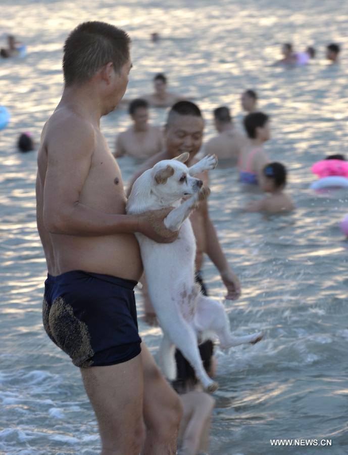 A man plays with his dog in the sea near Haikou, capital of south China's Hainan Province, June 29, 2013. The highest temperature in Haikou reached 35 degree centigrade, driving local residents to the seashore. (Xinhua/Zhao Yingquan)