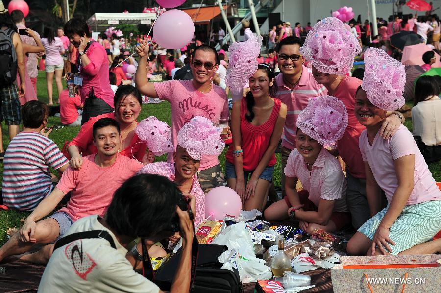 People participate in a rally called the "Pink Dot" to promote an acceptance of the Lesbian, Gay, Bisexual and Transgender community in Hong Lim Park in Singapore, on June 29, 2013.(Xinhua/Then Chih Wey) 