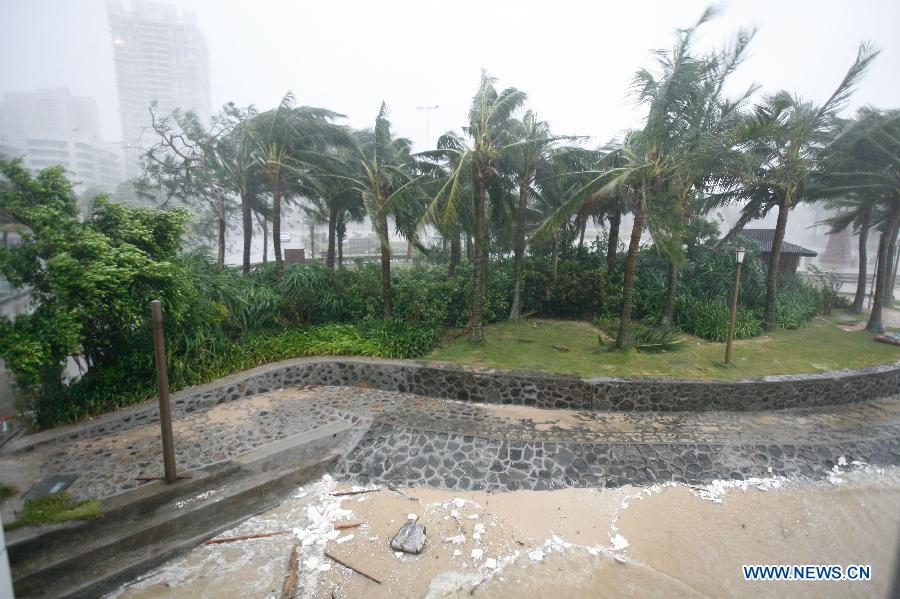 Photo taken on July 2, 2013 shows the trees in the gale as the tropical storm Rumbia lands on Zhanjiang, south China's Guangdong Province. Tropical storm Rumbia landed on Zhenjiang on Tuesday morning and brought torrential rain and gales to some areas in Guangdong Province. (Xinhua/Liang Zhiwei)