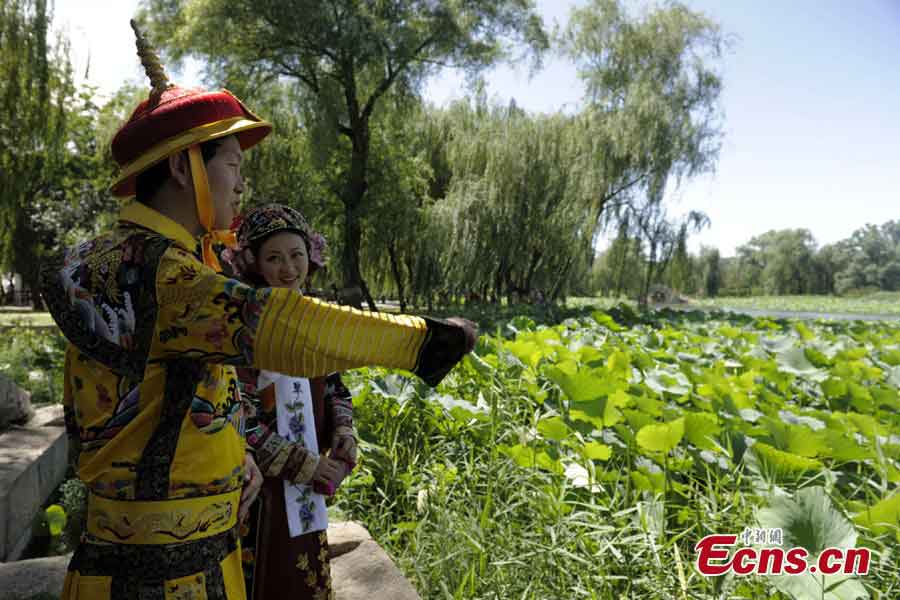 Photo taken on July 2, 2013 shows the lotus flowers in the Old Summer Palace in Beijing. The 18th Lotus Festival kicked off in the park on Tuesday. (CNS/Cun Nan)
