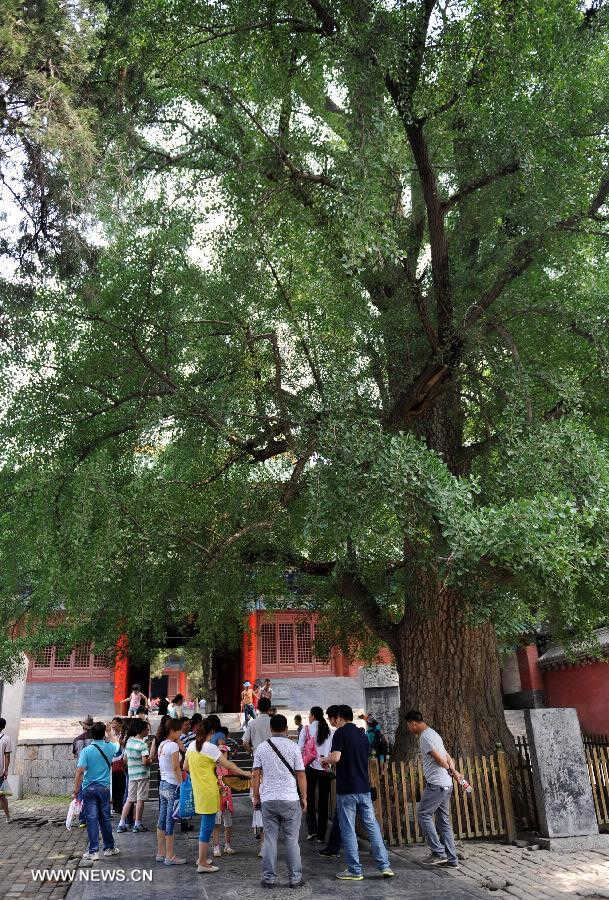 Tourists visit the Shaolin Temple at the foot of the Songshan Mountain in Dengfeng City, central China's Henan Province, July 3, 2013. The Shaolin Temple entered a peak tourism season recently with the coming of summer vacation. (Xinhua/Li Bo) 