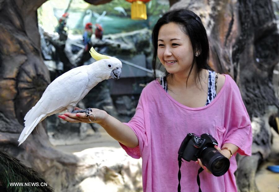 A visitor plays with a bird in the Ordos Zoo in Ordos, north China's Inner Mongolia Autonomous Region, July 3, 2013. Built in July, 2012 and taking up 12 square kilometers, the zoo has become a hot spot for vacations in summer, attracting nearly 40,000 visitors every month. (Xinhua/Zhao Tingting)  