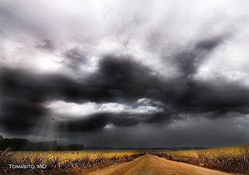 Endless road (Philippines). Speaking of natural landscapes, we often think of breathtaking mountains and beatiful grasslands. However, there are some that is so horrible, looking just like hell. (Photo: huanqiu.com)