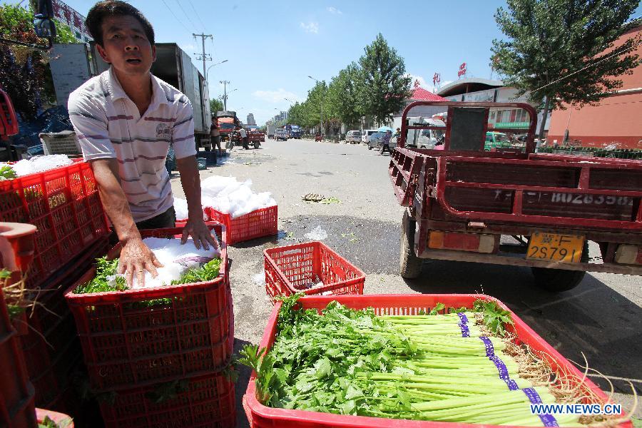 A man cools the vegetables with ice powder to keep them fresh at the Beijing Xinfadi Agricultural Products Market in Beijing, capital of China, July 5, 2013. With the temperature keeping climbing, sales of ice cubes increased in Beijing in recent days. (Xinhua) 
