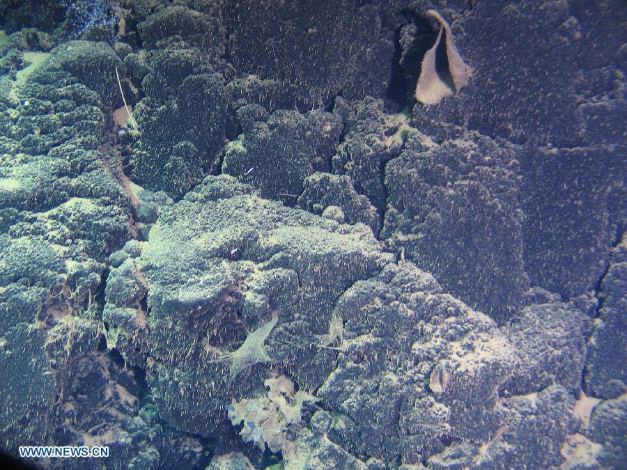 Photo taken by China's manned submersible Jiaolong shows part of the Jiaolong Seamount in South China Sea, July 5, 2013. (Xinhua)