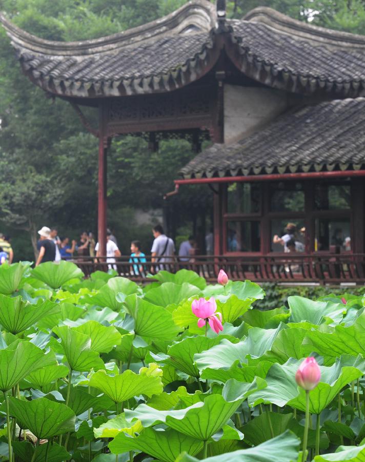 Lotus flowers blossom at the Humble Administrator's Garden in Suzhou City, east China's Jiangsu Province, July 7, 2013. (Xinhua/Hang Xingwei) 