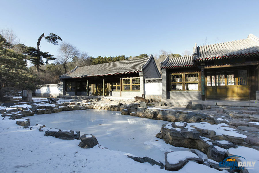 Located in the Western part of the mountain area, Song He Qing Yue is a residential house that Emperor Kangxi bulit for the empress. The layout is simple and standardized, the place later became the study of Emperor Qianlong. (Photo by Jia Yue for Chinadaily.com.cn)