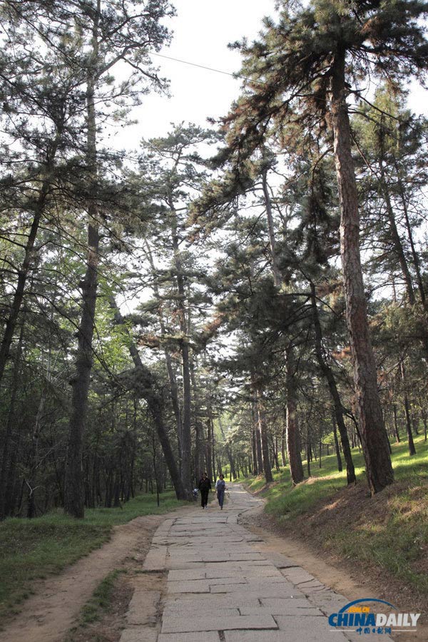 The Mountain Area, in the north-west of the resort, consists of four large ravines: Zhengzi, Songlin, Lishu and Songyun.The stone blocks in the ravines were made by hand using traditional techniques. Walking along the various paths provides visitors with the feeling of visiting their ancestors. (Photo by Jia Yue for Chinadaily.com.cn)