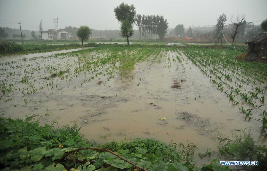 Heavy rainstorm hit Shanxi