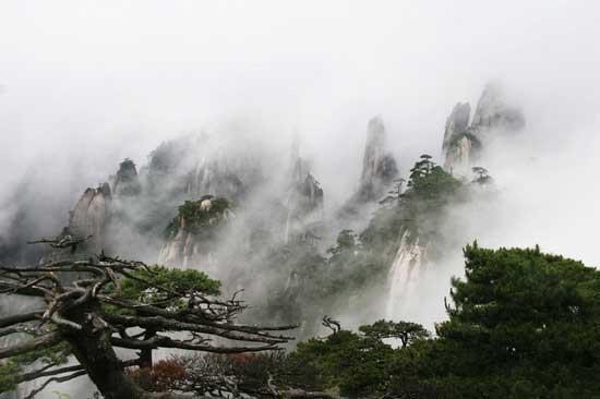 World Natural Heritage: Mount Sanqingshan